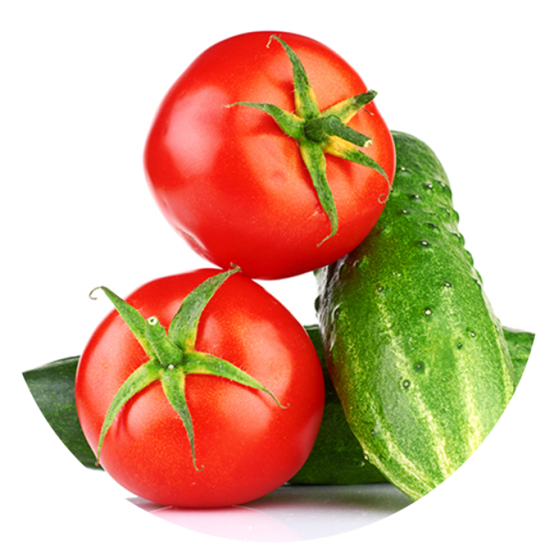  Gefüllte Tomate und Salatgurke